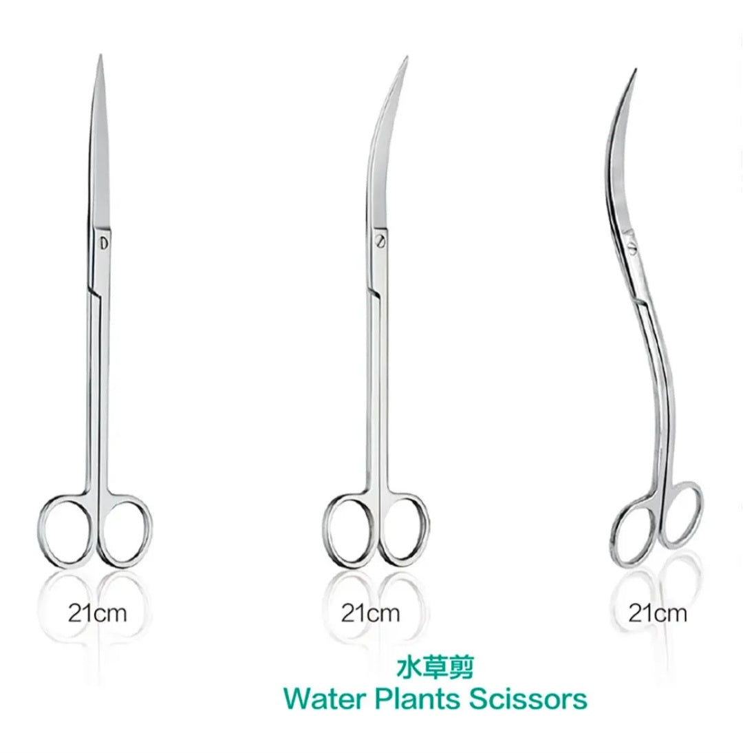 Chihiro scissor wave/curve/straight