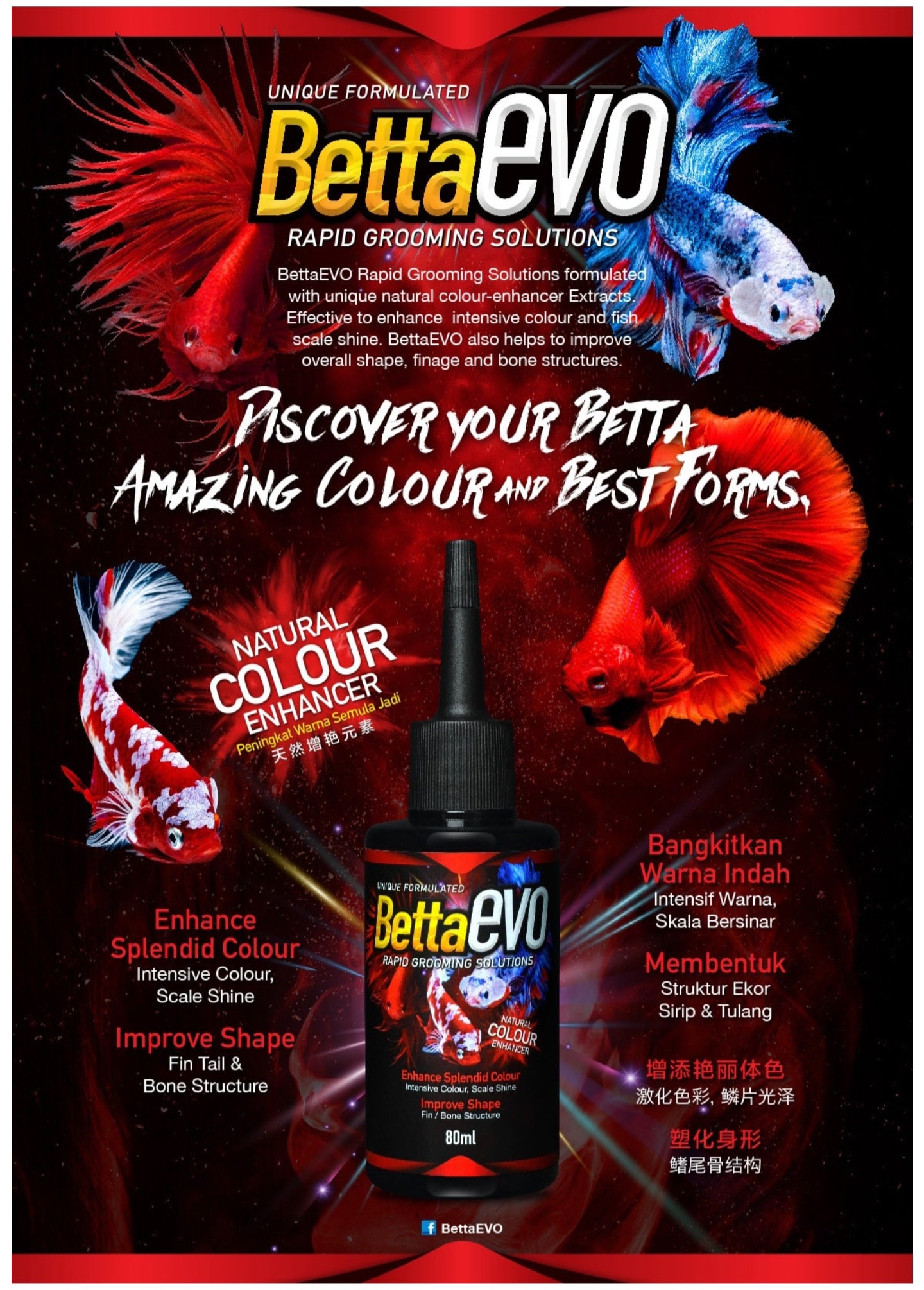 Betta EVO rapid grooming solutions by AVEFLEX