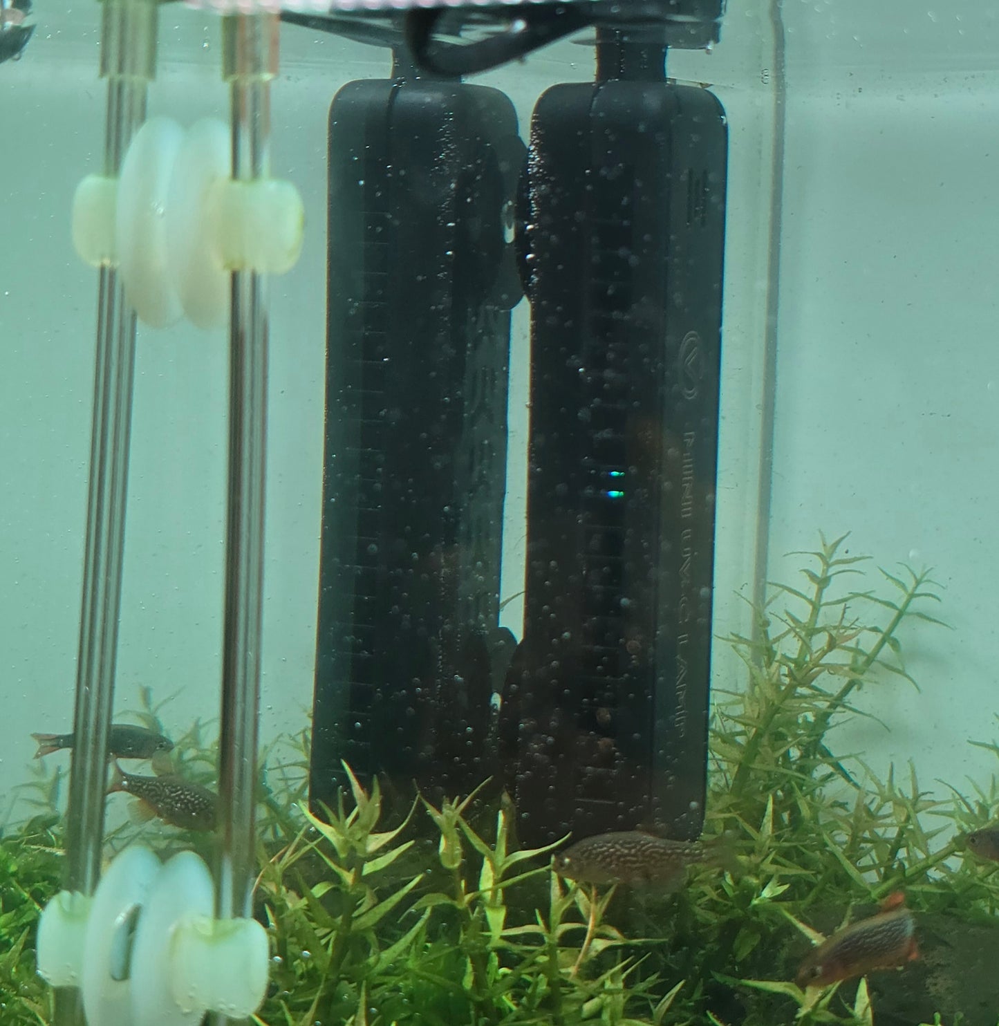 UVC steriliser 5w