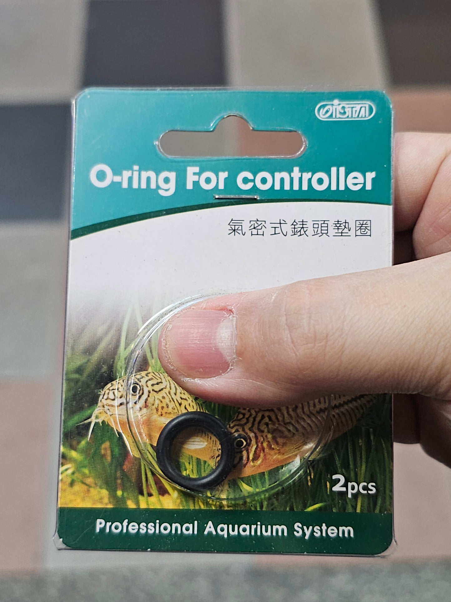 ISTA O-ring
