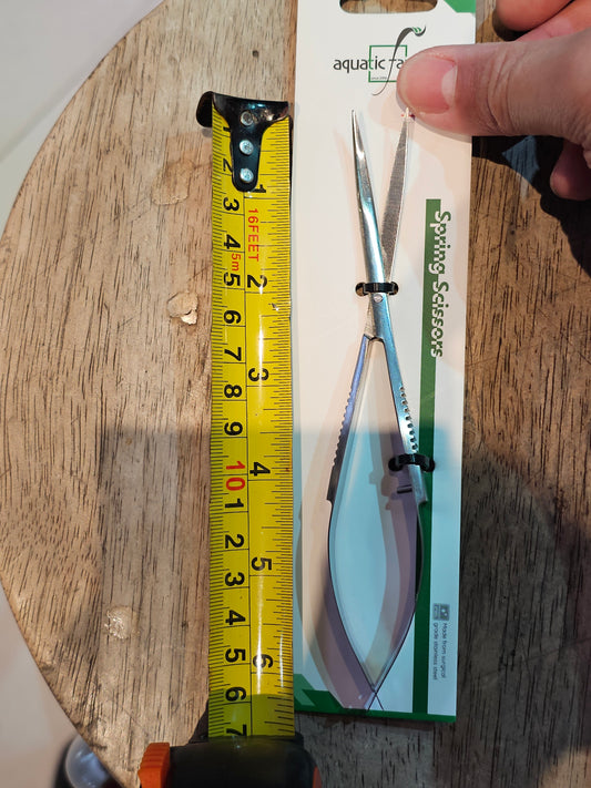 Spring Scissors(~16cm) Curved Blade by Aquatic Farmer - Stainless Steel Aquascaping Tools 2.0 (Surgical Grade)