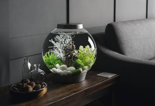 OASE BiOrb CLASSIC 15 (Silver)