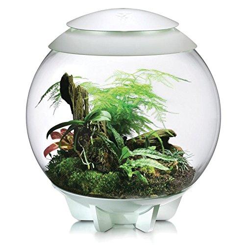 OASE BiOrb AIR 60 (White)