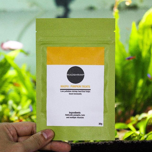 MADFU: PUMPKIN TREATS