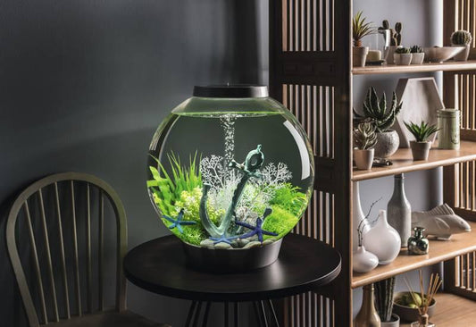 OASE BiOrb CLASSIC 60 (Black)