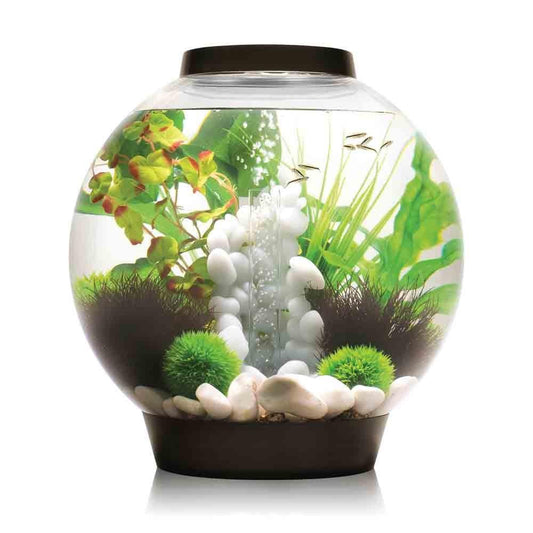 OASE BiOrb CLASSIC 30 (Black)