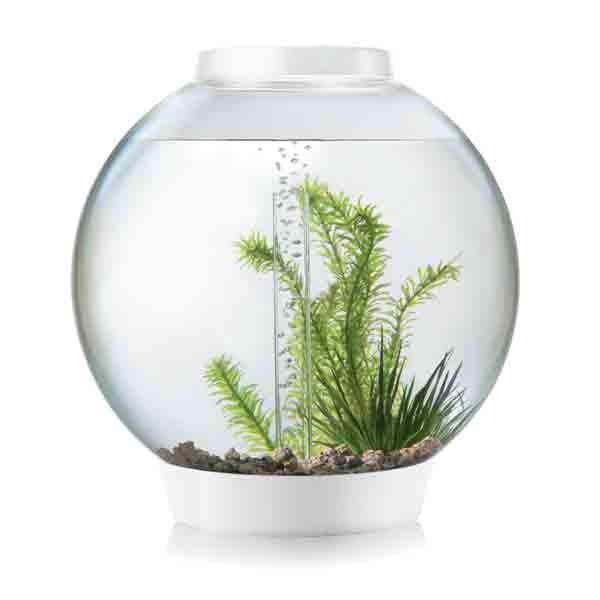 OASE BiOrb CLASSIC 30 (White)