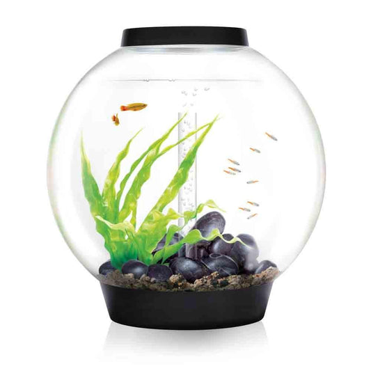 OASE BiOrb CLASSIC 60 (Black)