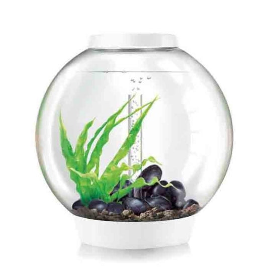 OASE BiOrb CLASSIC 60 (White)