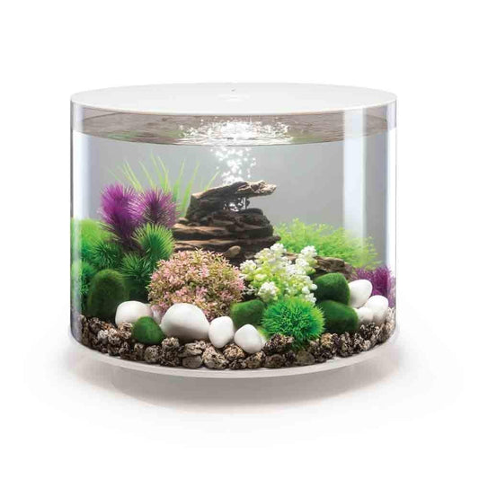 OASE BiOrb TUBE 35 (White)