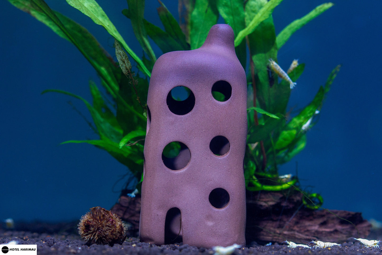 MADFU Ceramic Hotel Harimau