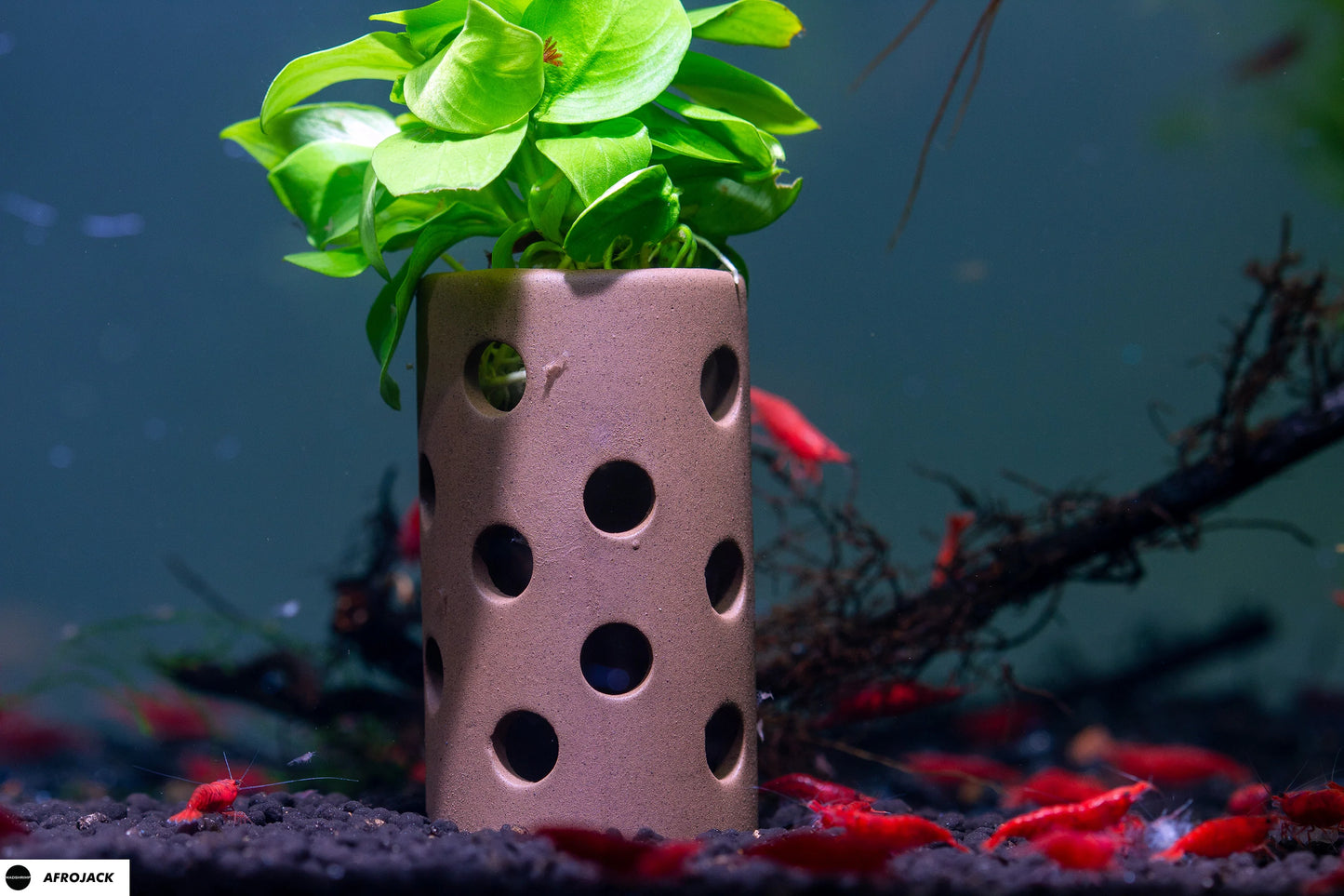 MADFU Ceramic AFROJACK