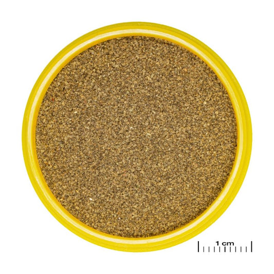 JBL ProNovo Neon Grano XXS