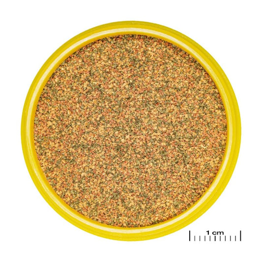 JBL ProNovo Bel Grano XXS