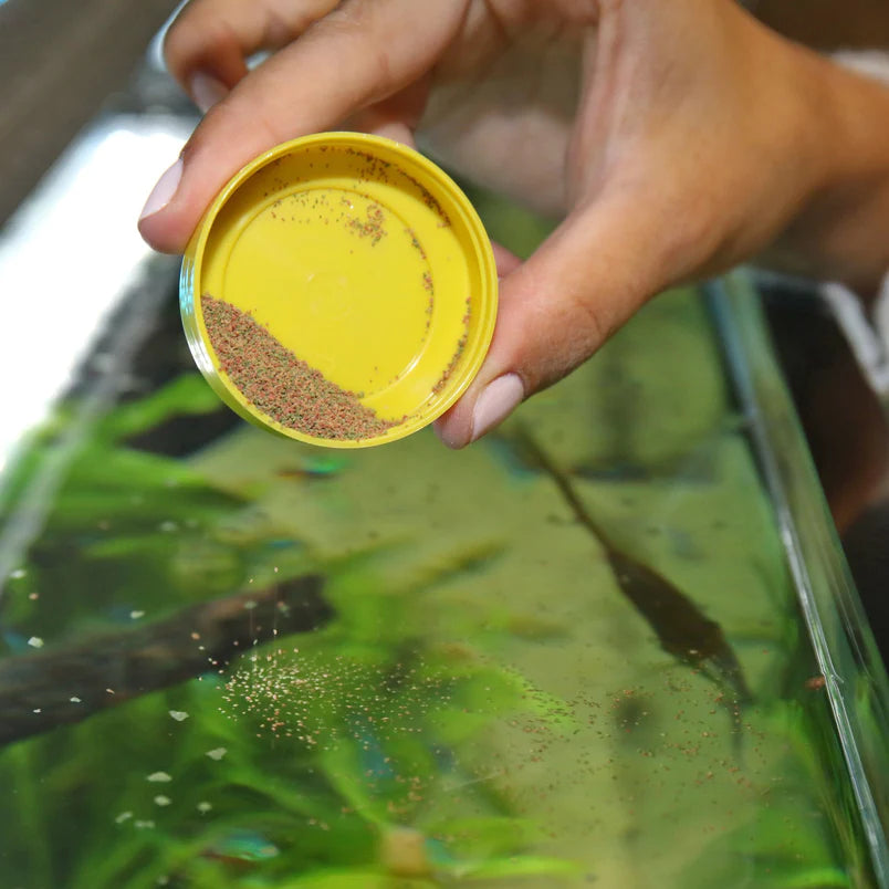 JBL NovoGranoMix XXS 100ml