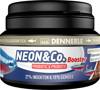 DENNERLE Neon & Co 45g(100ml)