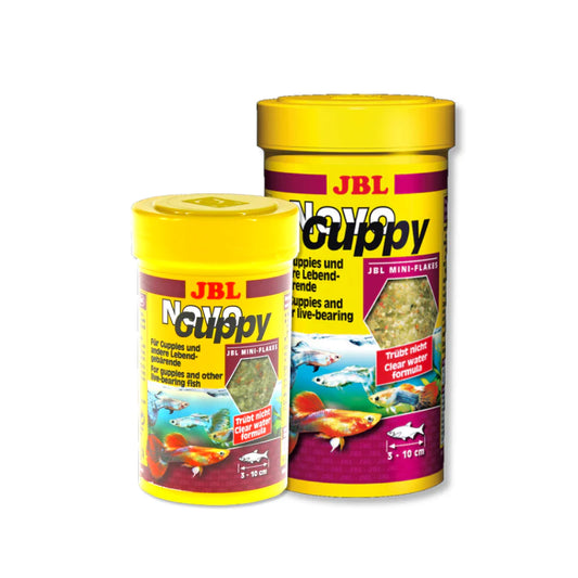 JBL NovoGuppy