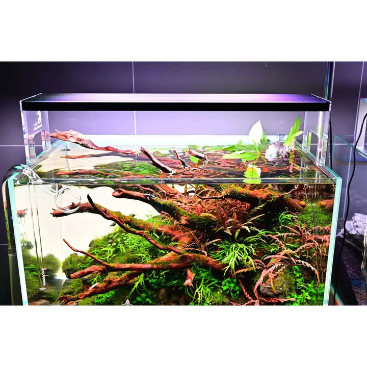 CHIHIROS ACRYLIC STAND FOR WRGB II