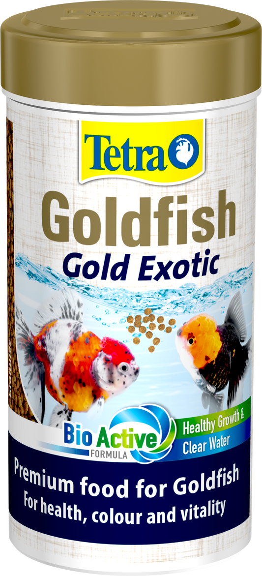 Tetra Goldfish-Gold Exotic