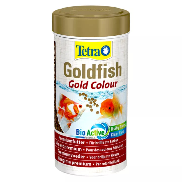 Tetra Goldfish-Gold Colour