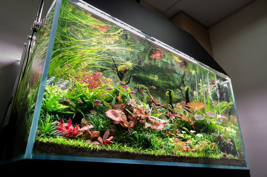 fish tank accessories singapore Aquarium Decorations Plants, 9pcs Green Fish Tank Decorations Plants and Cave Rock Decoration Decor Set, Aquarium Decor Plastic Plants Pet Supplies Aquatic Avenue | Aquarium Shop