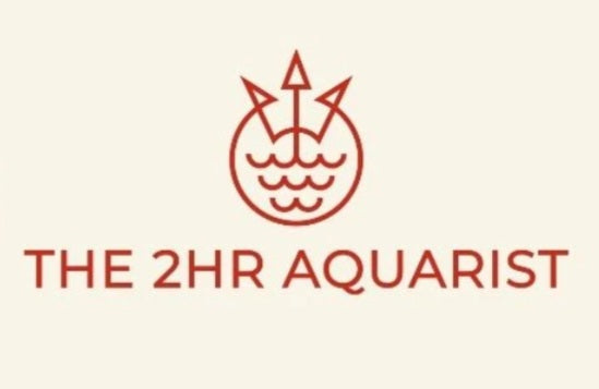 The 2hr Aquarist