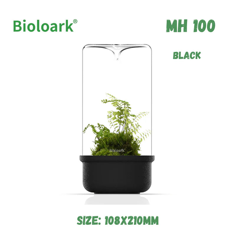 black jungle terrarium plants BIOLOARK