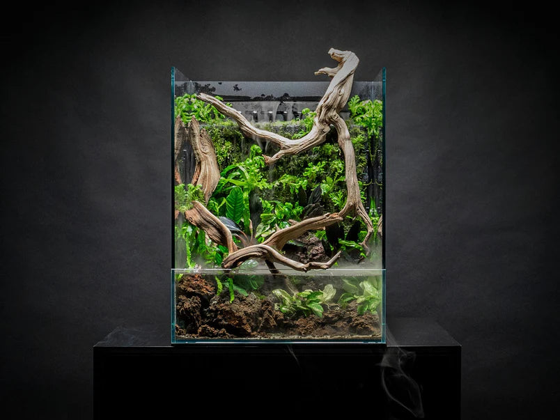 UNS 35E - Foresta Integrated Paludarium