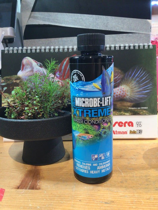 Microbe-lift Xtreme water conditioner