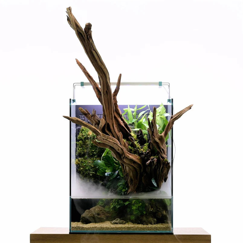 UNS 35E - Foresta Integrated Paludarium