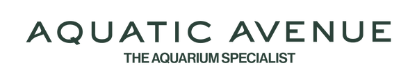 Aquatic Avenue Online Store
