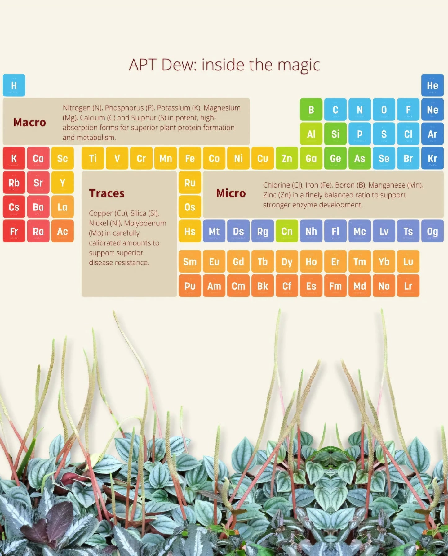 APT Dew Foliar Spray