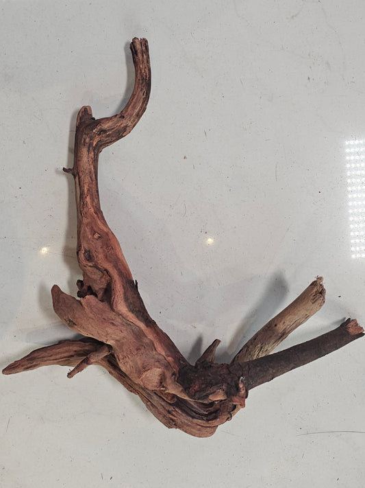Mopani wood