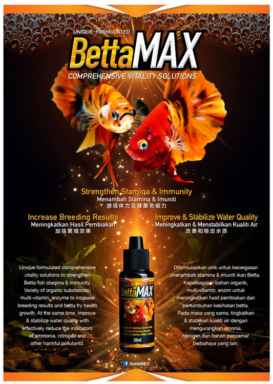 Betta Max comprehensive vitality solutions by AVEFLEX