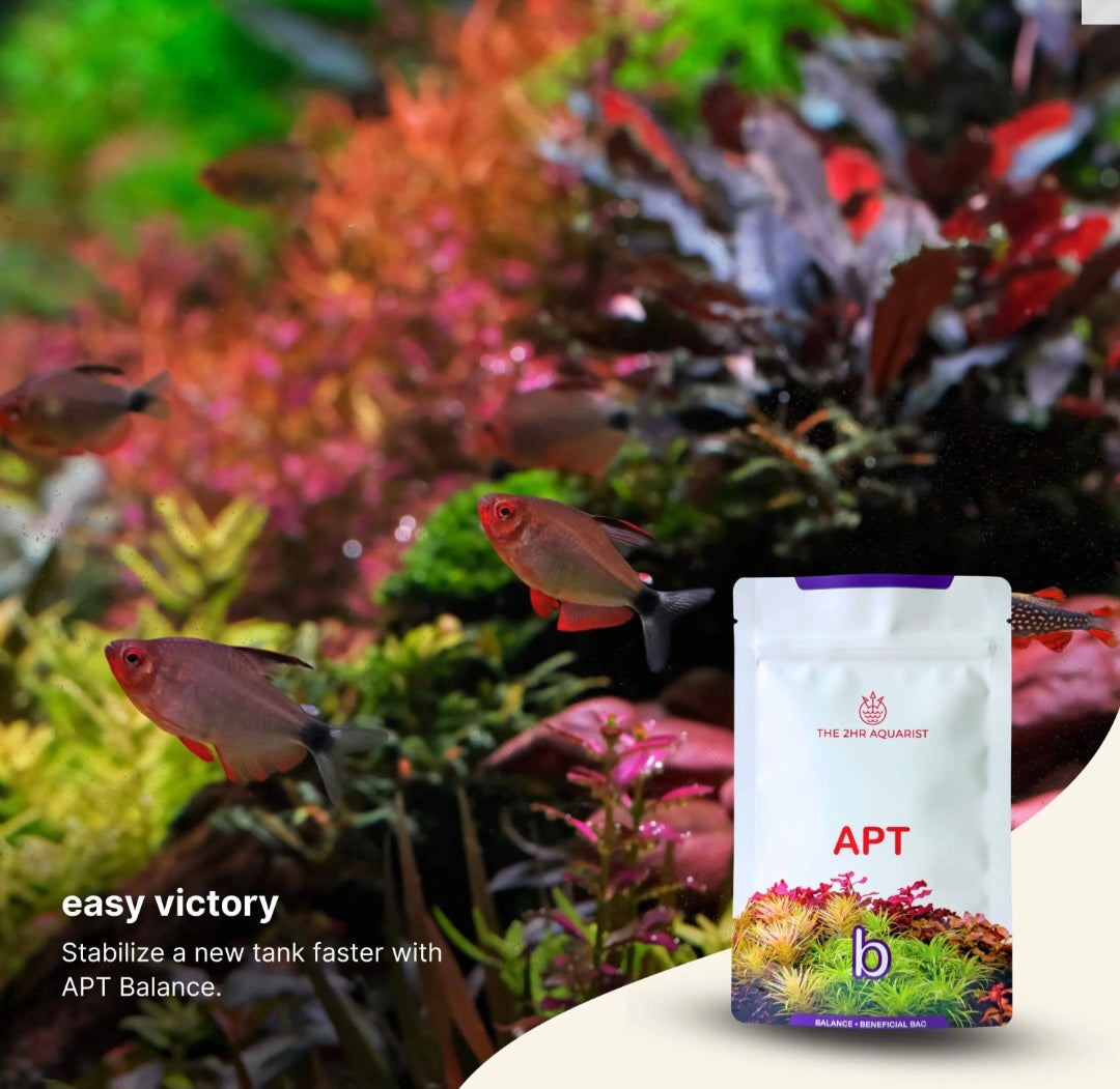 APT Balance (bacteria starter)