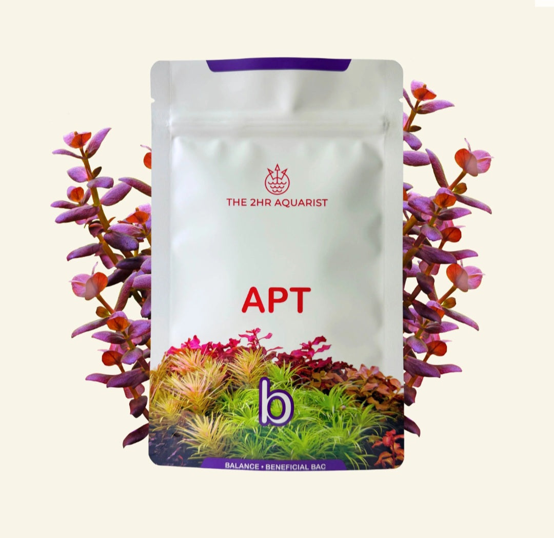 APT Balance (bacteria starter)