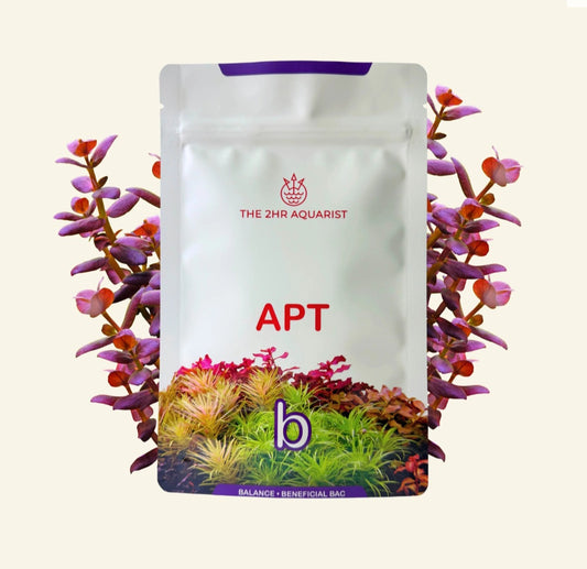 APT Balance (bacteria starter)