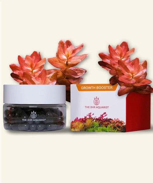 APT JAZZ J PLANT GROWTH BOOSTER