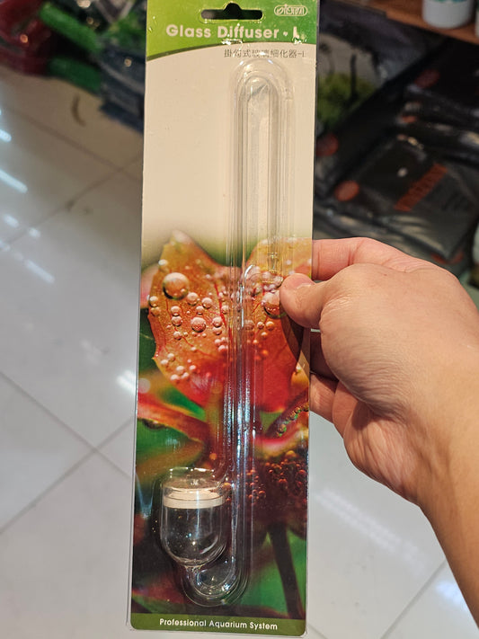 Ista Glass Diffuser S/M/L