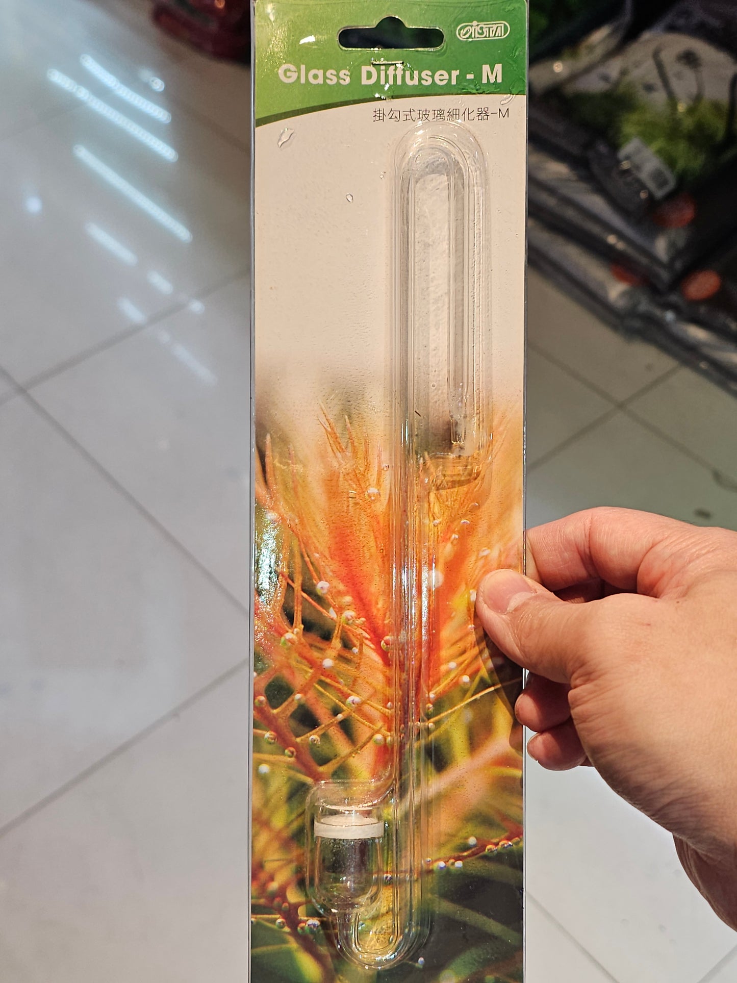 Ista Glass Diffuser S/M/L