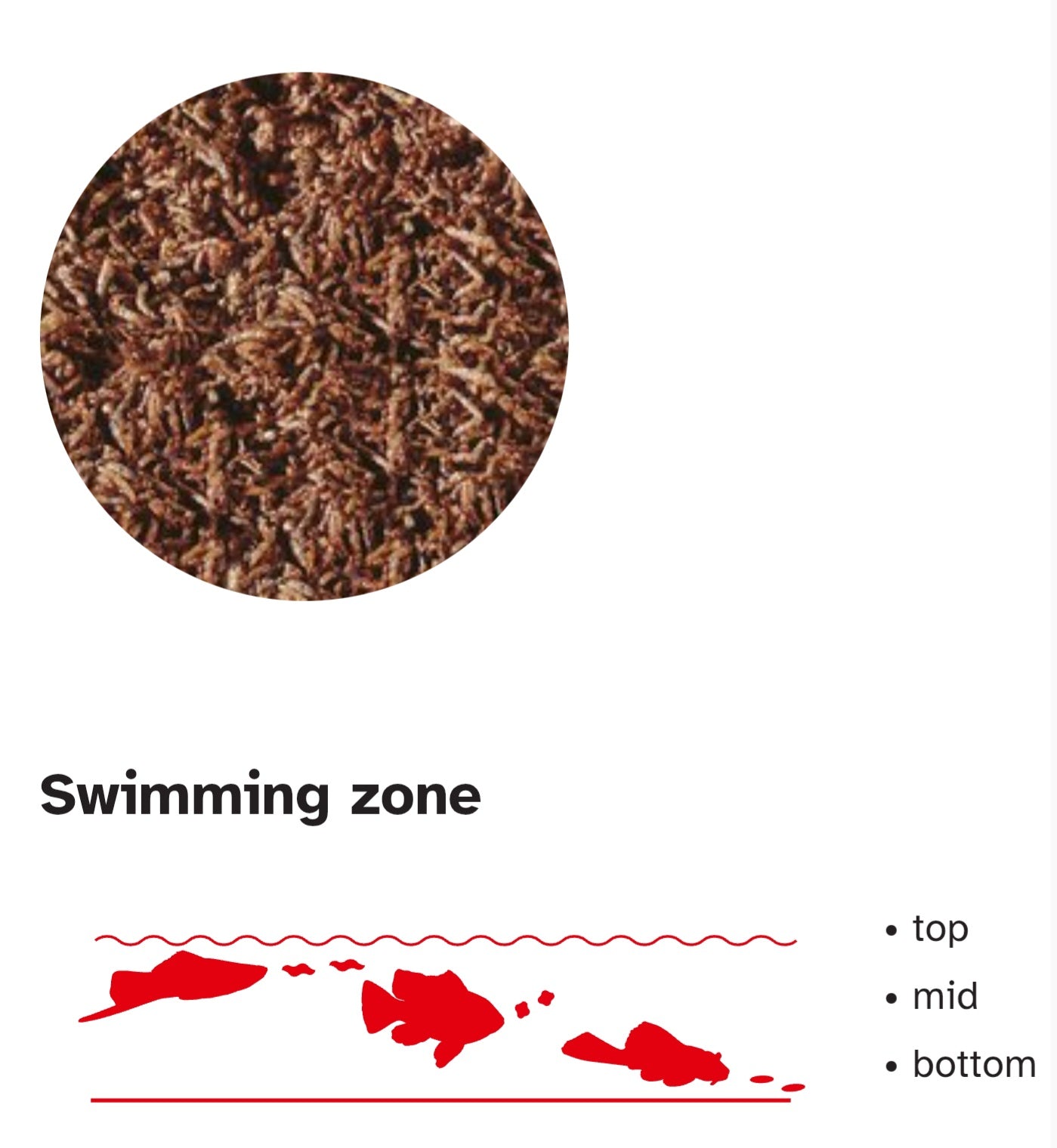 Sera FD bloodworm snack 9g