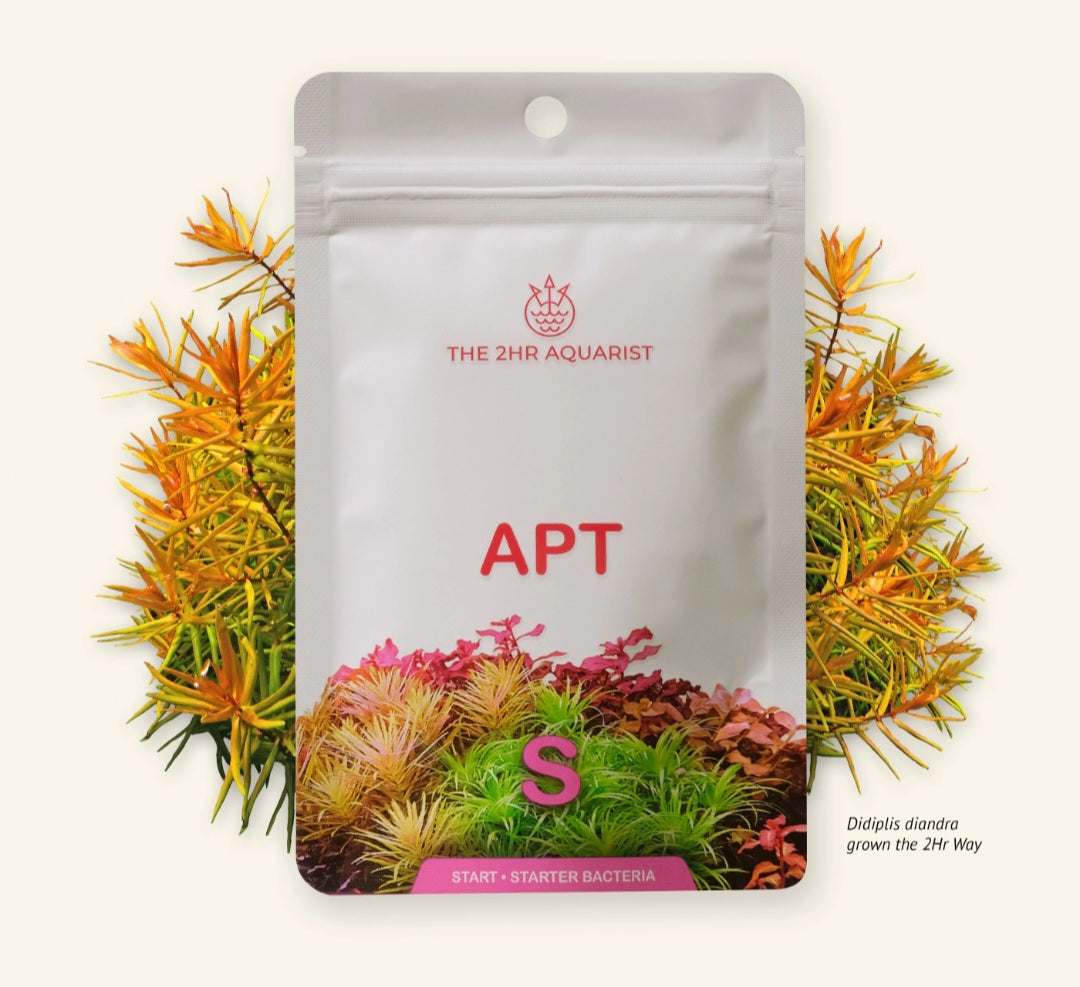 APT Start S