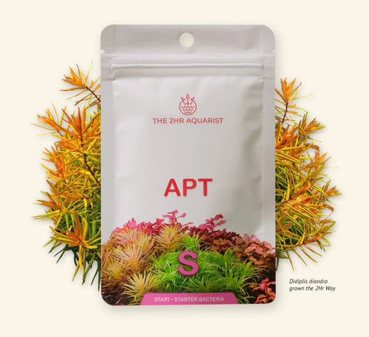 APT Start S