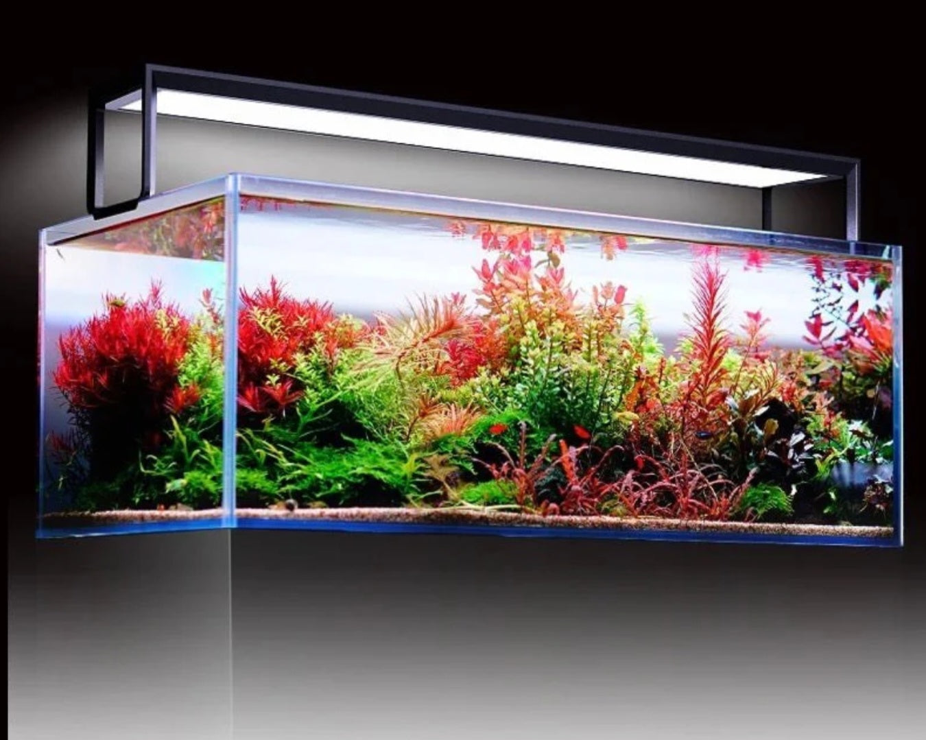 NETLEA- AT5S Series Aquarium WRGB LED Light for Planted Aquarium(30cm/45cm/60cm/90cm/120cm)
