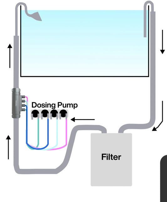 Chihiro Dosing Flow Adaptor