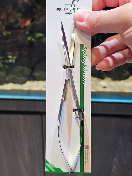 Spring Scissors(~16cm) Curved Blade by Aquatic Farmer - Stainless Steel Aquascaping Tools 2.0 (Surgical Grade)
