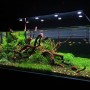 HYPERSPOT FL