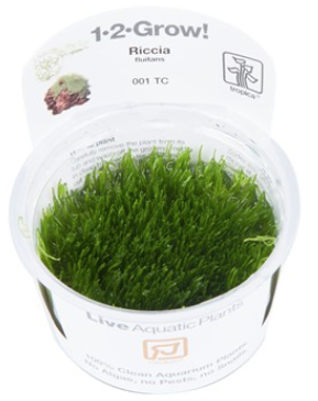 TROPICA 1-2 Grow TC (Riccia fluitans)