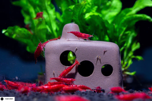 MADFU Ceramic Club Jouk