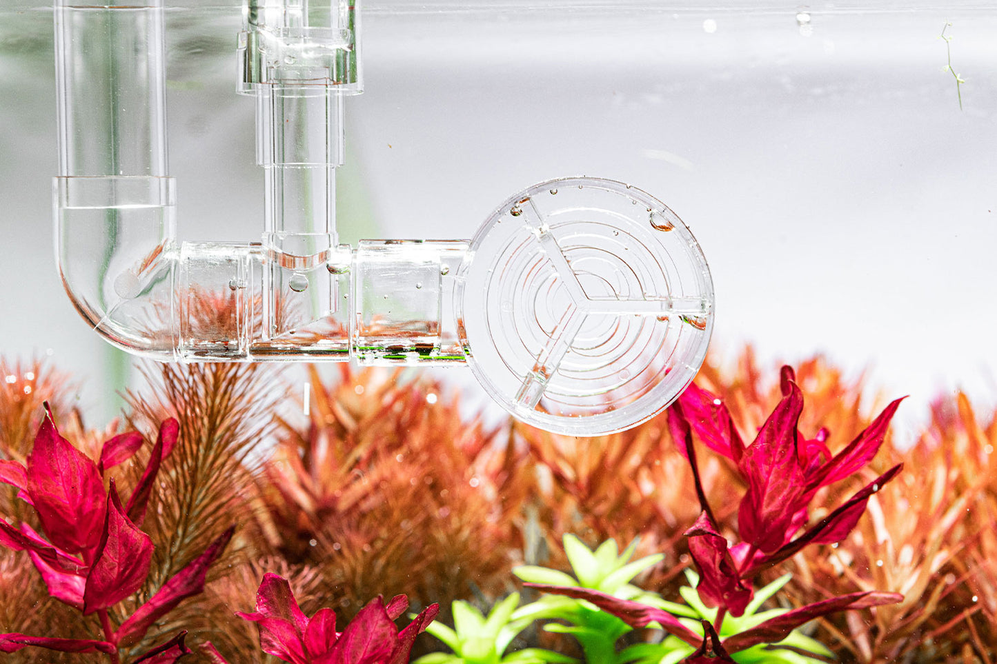 AQUARIO Neo Flow Premium